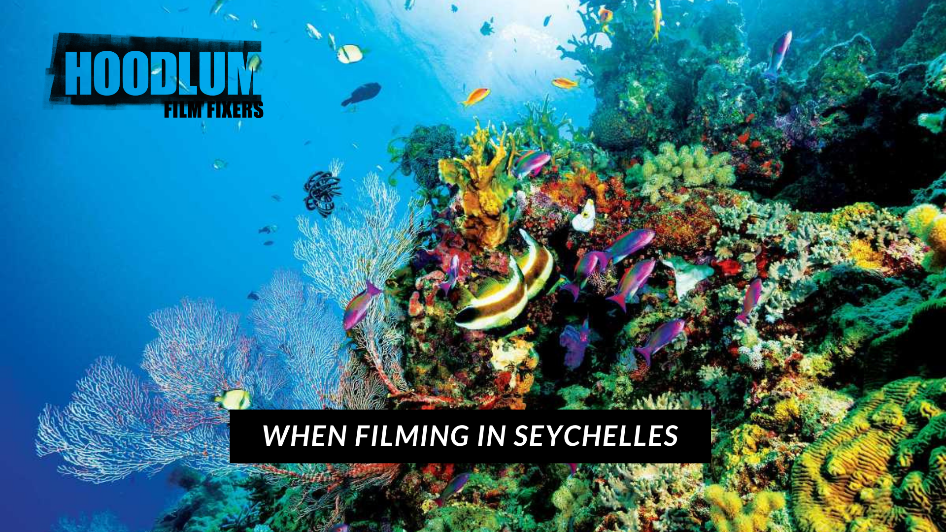 When Filming in Seychelles, When filming in Africa, Film fixers in Seychelles, Film Fixers in Africa, Seychelles, Africa, Film locations Seychelles, Film equipment Seychelles, Film equipment Seychelles