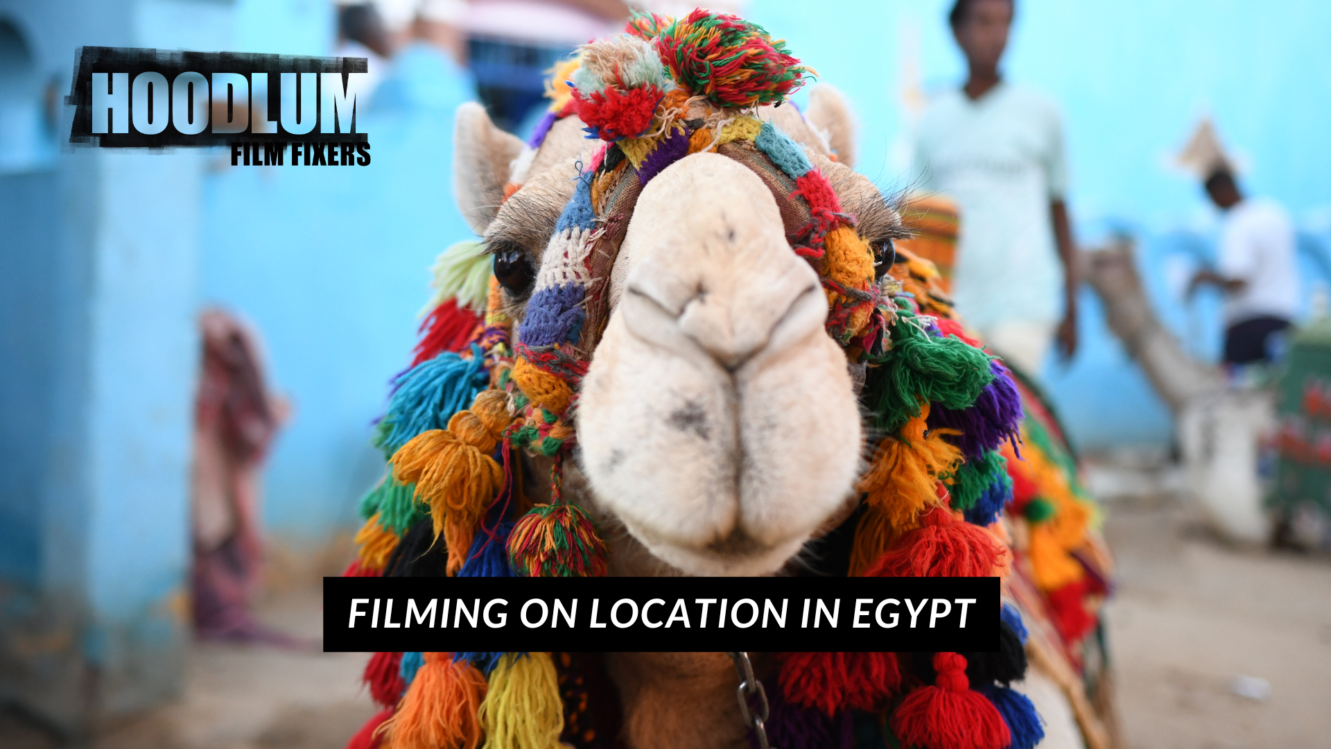 Film Fixers in Egypt