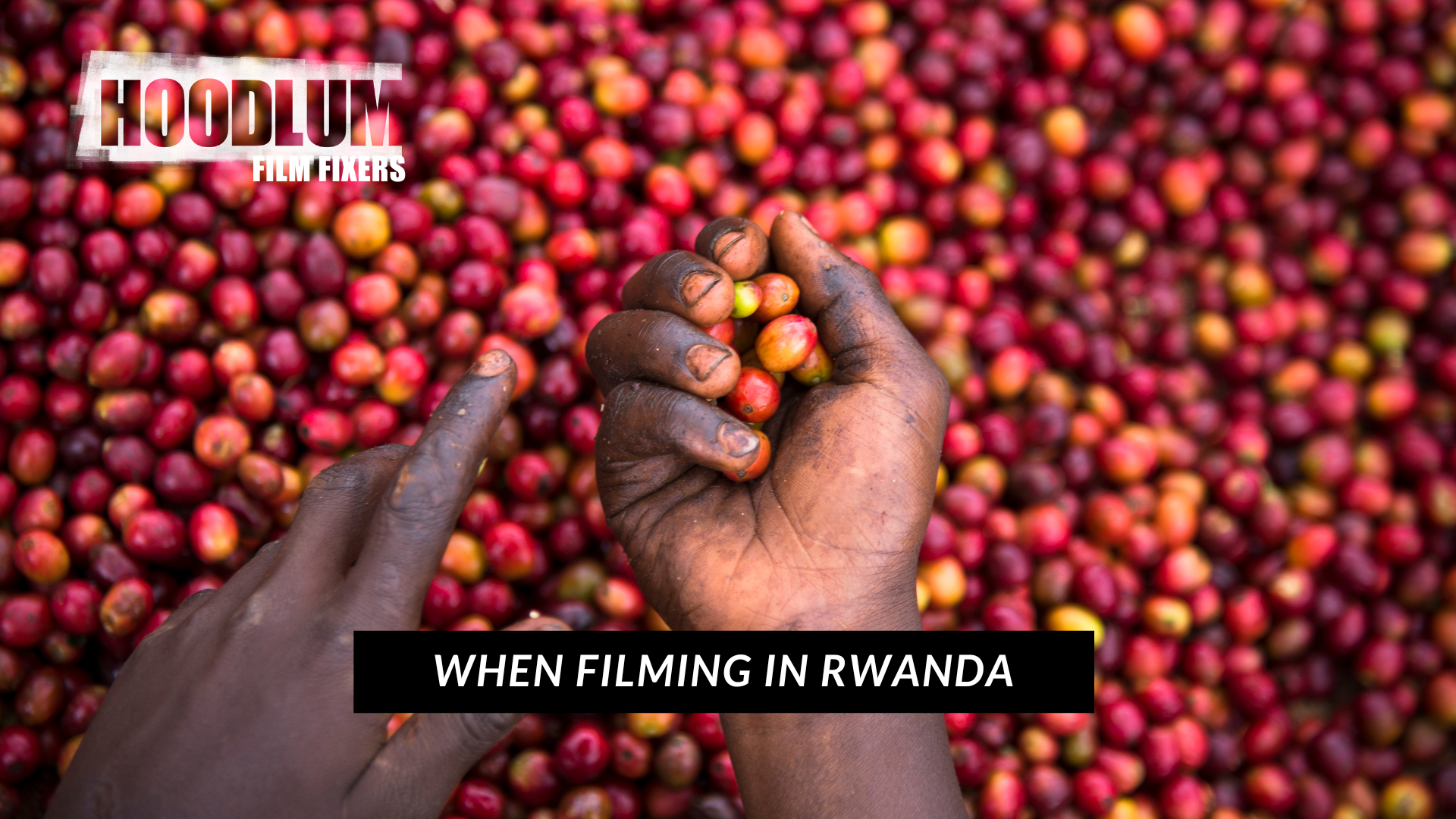 Film Fixers in Rwanda