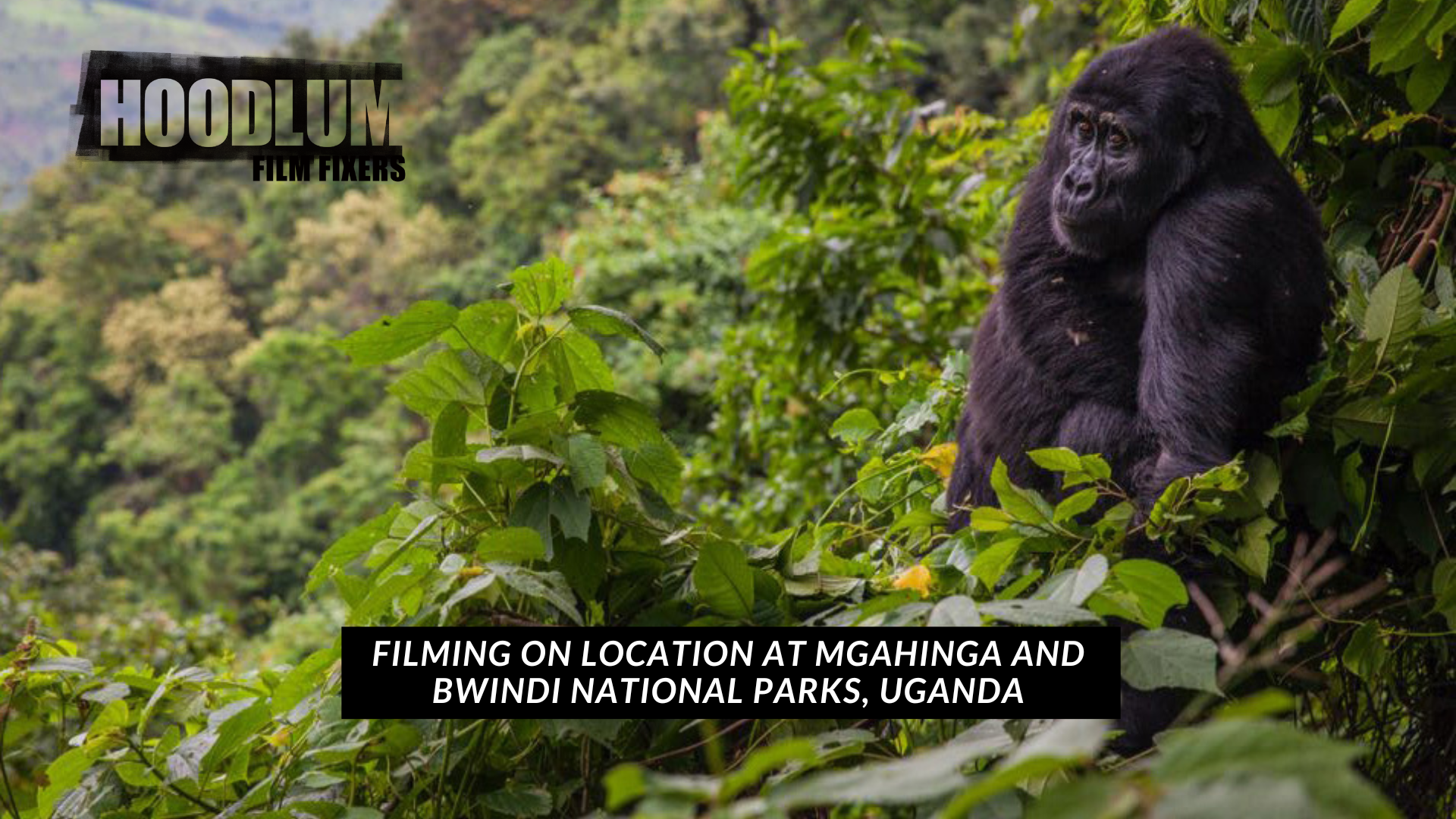 UGANDA FILM FIXERS IN EAST AFRICA