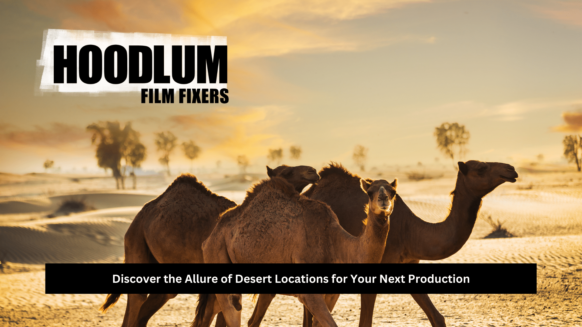desert locations
